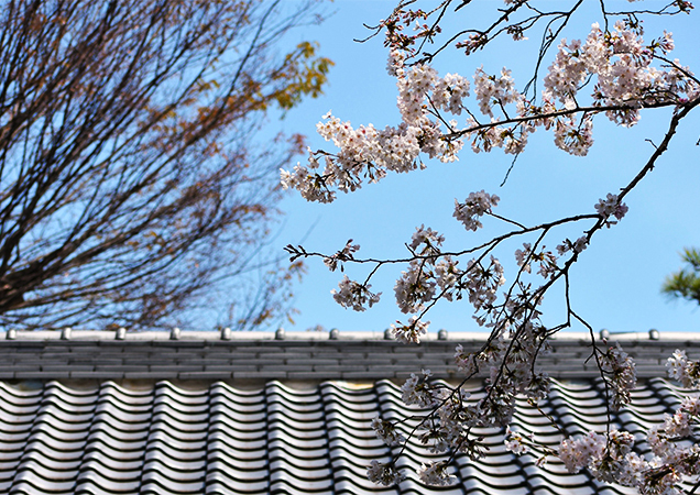 八芳園の屋根